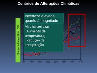 Cenários de Alterações Climáticas

                               4

                                   Incerteza elevada
                                      CGCM2_A2
                                      CGCM2_B2
                                      CSIRO_A1
                                   quanto à magnitude
                                      CSIRO_A2
                                      CSIRO_B1
                               3
                                       CSIRO_B2
                                   Mas há certezas:
   Anomalia Temperatura (ºC)
Change in temperature (ºC)


                                       ECHAM4_A2
                                       ECHAM4_B2

                                   . Aumento da
                                       GFDL_A2
                                       GFDL_B2
                               2       HADCM3_A2
                                   temperatura;
                                       HADCM3_B2
                                       NCAR-CSM_A2
                                   . Redução da
                                       NCAR-PCM_A2
                                       NCAR-PCM_B2
                               1
                                   precipitação

                               0



                               1960   1980    2000   2020   2040   2060   2080   2100
 