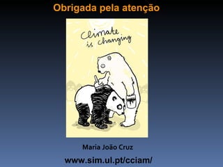 Obrigada pela atenção




      Maria João Cruz
  www.sim.ul.pt/cciam/
 