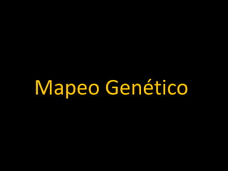Mapeo Genético
 