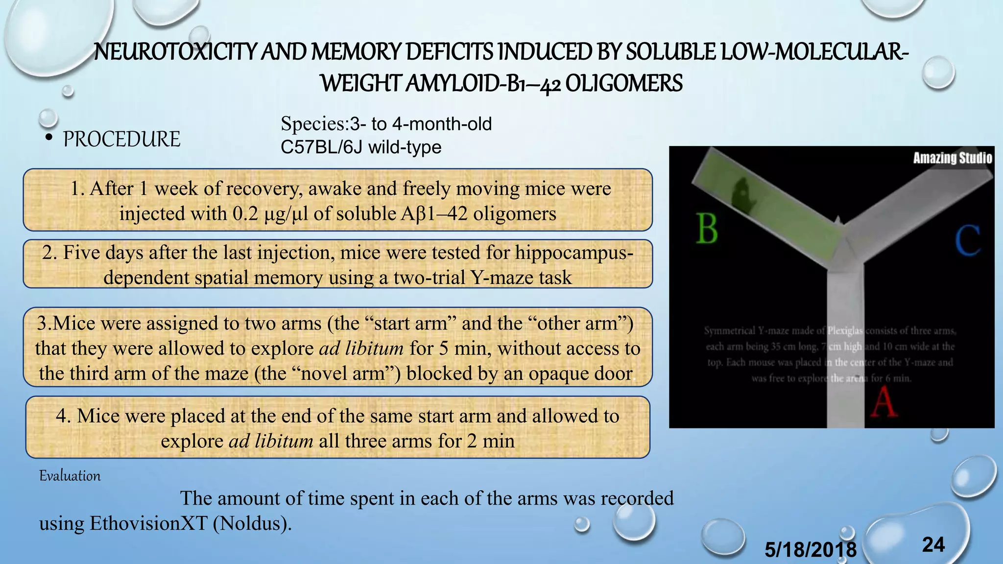 NEUROTOXICITYAND MEMORYDEFICITSINDUCEDBY SOLUBLE LOW-MOLECULAR-
WEIGHTAMYLOID-Β1–42OLIGOMERS
• PROCEDURE
5/18/2018 24
1. After 1 week of recovery, awake and freely moving mice were
injected with 0.2 μg/μl of soluble Aβ1–42 oligomers
2. Five days after the last injection, mice were tested for hippocampus-
dependent spatial memory using a two-trial Y-maze task
3.Mice were assigned to two arms (the “start arm” and the “other arm”)
that they were allowed to explore ad libitum for 5 min, without access to
the third arm of the maze (the “novel arm”) blocked by an opaque door.
4. Mice were placed at the end of the same start arm and allowed to
explore ad libitum all three arms for 2 min
Evaluation
The amount of time spent in each of the arms was recorded
using EthovisionXT (Noldus).
Species:3- to 4-month-old
C57BL/6J wild-type
 