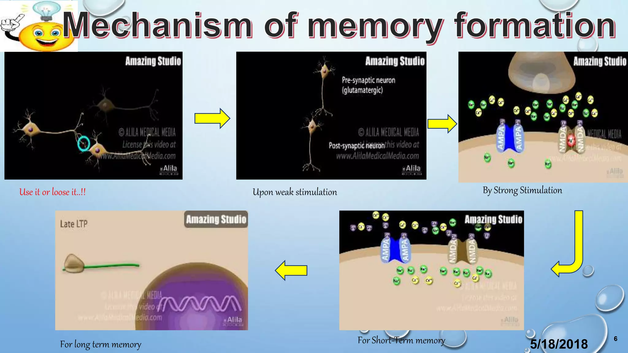 Upon weak stimulation By Strong StimulationUse it or loose it..!!
For Short-Term memoryFor long term memory 5/18/2018
6
 