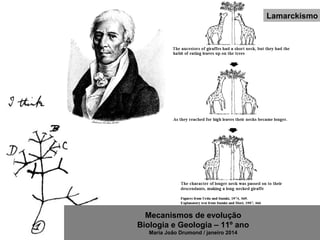 Mecanismos de evolução
Biologia e Geologia – 11º ano
Maria João Drumond / janeiro 2014
Lamarckismo
 