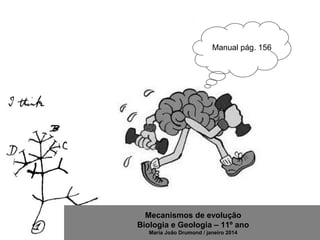 Mecanismos de evolução
Biologia e Geologia – 11º ano
Maria João Drumond / janeiro 2014
Manual pág. 156
 