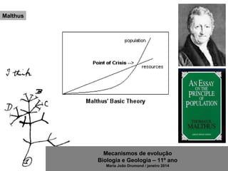 Mecanismos de evolução
Biologia e Geologia – 11º ano
Maria João Drumond / janeiro 2014
Malthus
 