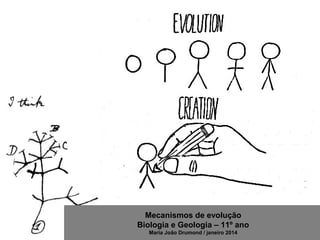Mecanismos de evolução
Biologia e Geologia – 11º ano
Maria João Drumond / janeiro 2014
 