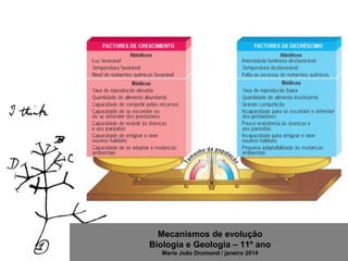 Mecanismos de evolução
Biologia e Geologia – 11º ano
Maria João Drumond / janeiro 2014
 