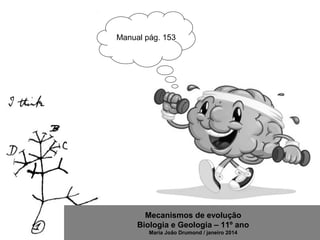 Mecanismos de evolução
Biologia e Geologia – 11º ano
Maria João Drumond / janeiro 2014
Manual pág. 153
 