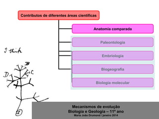 Mecanismos de evolução
Biologia e Geologia – 11º ano
Maria João Drumond / janeiro 2014
Contributos de diferentes áreas científicas
Anatomia comparada
Paleontologia
Embriologia
Biogeografia
Biologia molecular
 