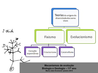Mecanismos de evolução
Biologia e Geologia – 11º ano
Maria João Drumond / janeiro 2014
 