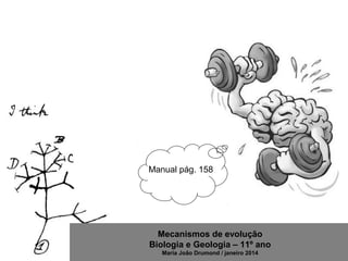 Mecanismos de evolução
Biologia e Geologia – 11º ano
Maria João Drumond / janeiro 2014
Manual pág. 158
 