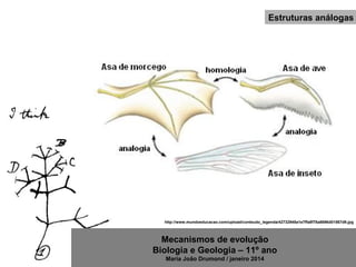 Mecanismos de evolução
Biologia e Geologia – 11º ano
Maria João Drumond / janeiro 2014
http://www.mundoeducacao.com/upload/conteudo_legenda/42732948a1e7ffa8f78a8696d01567d9.jpg
Estruturas análogas
 