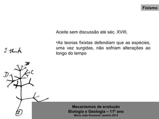 Mecanismos de evolução
Biologia e Geologia – 11º ano
Maria João Drumond / janeiro 2014
Fixismo
Aceite sem discussão até séc. XVIII,
•As teorias fixistas defendiam que as espécies,
uma vez surgidas, não sofriam alterações ao
longo do tempo
 
