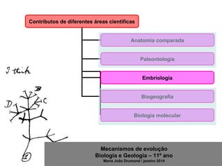 Mecanismos de evolução
Biologia e Geologia – 11º ano
Maria João Drumond / janeiro 2014
Contributos de diferentes áreas científicas
Anatomia comparada
Paleontologia
Embriologia
Biogeografia
Biologia molecular
 