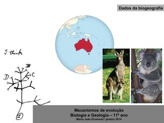 Mecanismos de evolução
Biologia e Geologia – 11º ano
Maria João Drumond / janeiro 2014
Dados da biogeografia
 