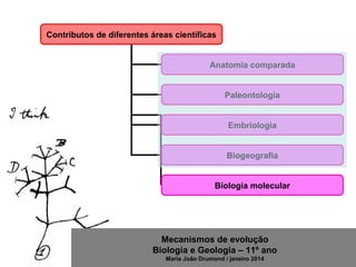 Mecanismos de evolução
Biologia e Geologia – 11º ano
Maria João Drumond / janeiro 2014
Contributos de diferentes áreas científicas
Anatomia comparada
Paleontologia
Embriologia
Biogeografia
Biologia molecular
 