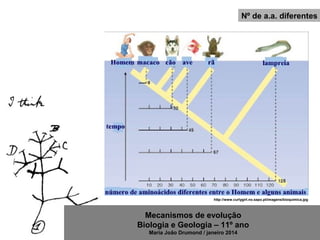 Mecanismos de evolução
Biologia e Geologia – 11º ano
Maria João Drumond / janeiro 2014
Nº de a.a. diferentes
http://www.curlygirl.no.sapo.pt/imagens/bioquimica.jpg
 