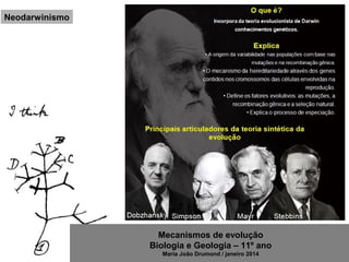 Mecanismos de evolução
Biologia e Geologia – 11º ano
Maria João Drumond / janeiro 2014
Neodarwinismo
 