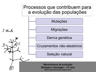 Mecanismos de evolução
Biologia e Geologia – 11º ano
Maria João Drumond / janeiro 2014
 