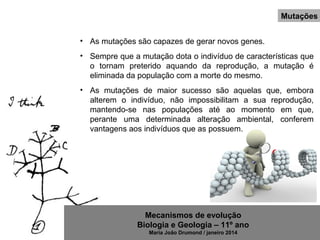 Mecanismos de evolução
Biologia e Geologia – 11º ano
Maria João Drumond / janeiro 2014
Mutações
• As mutações são capazes de gerar novos genes.
• Sempre que a mutação dota o indivíduo de características que
o tornam preterido aquando da reprodução, a mutação é
eliminada da população com a morte do mesmo.
• As mutações de maior sucesso são aquelas que, embora
alterem o indivíduo, não impossibilitam a sua reprodução,
mantendo-se nas populações até ao momento em que,
perante uma determinada alteração ambiental, conferem
vantagens aos indivíduos que as possuem.
 