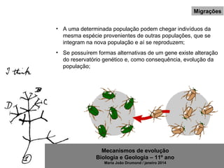 Mecanismos de evolução
Biologia e Geologia – 11º ano
Maria João Drumond / janeiro 2014
Migrações
• A uma determinada população podem chegar indivíduos da
mesma espécie provenientes de outras populações, que se
integram na nova população e aí se reproduzem;
• Se possuírem formas alternativas de um gene existe alteração
do reservatório genético e, como consequência, evolução da
população;
 