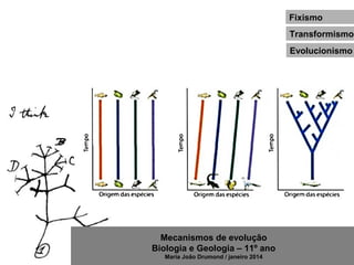 Mecanismos de evolução
Biologia e Geologia – 11º ano
Maria João Drumond / janeiro 2014
Fixismo
Transformismo
Evolucionismo
 