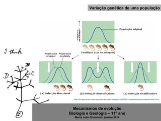 Mecanismos de evolução
Biologia e Geologia – 11º ano
Maria João Drumond / janeiro 2014
Variação genética de uma população
http://bio-geo-tudo-o-que-precisas-de-saber.blogspot.pt/2013/01/neodarwinismo-o-estudo-final.html
 