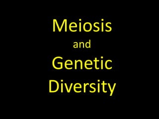 Meiosis and  Genetic Diversity 