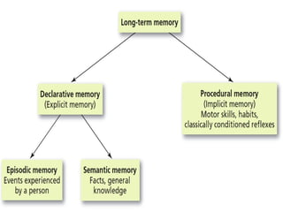 Figure 6.5 Types of Long-Term Memories
Long-term memory can be divided into declarative memories, which are factual and typically conscious (explicit)
memories, and nondeclarative memories, which are skills, habits, and conditioned responses that are typically
unconscious (implicit). Declarative memories are further divided into episodic memories (personal experiences) and
semantic memories (general knowledge).

 