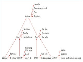 Figure 6.6 An Example of a Semantic Network
In the semantic network model of memory, concepts that are related in meaning are thought to be stored physically
near each other in the brain. In this example, canary and ostrich are stored near the concept node for “bird,” whereas
shark and salmon are stored near “fish.” But the fact that a canary is yellow is stored directly with that concept.

 