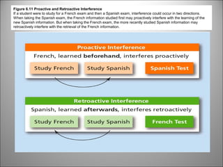 Figure 6.11 Proactive and Retroactive Interference
If a student were to study for a French exam and then a Spanish exam, interference could occur in two directions.
When taking the Spanish exam, the French information studied first may proactively interfere with the learning of the
new Spanish information. But when taking the French exam, the more recently studied Spanish information may
retroactively interfere with the retrieval of the French information.

 