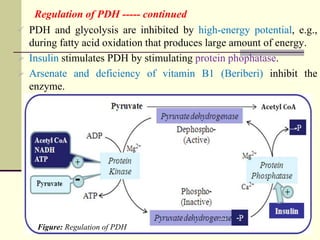 Pdh Inhibit 8_Metabolism,_catabolism_of_carbohydrates,_lipids_and_propteins.ppt