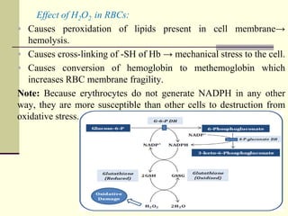 Hydrolysis Rbc 8_Metabolism,_catabolism_of_carbohydrates,_lipids_and_propteins.ppt