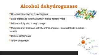 Alcohol dehydrogenase
Cytoplasmic enzyme; 6 isoenzymes
Less expressed in females than males- toxicity more
With ethnicity also it may change
Mutation may increase activity of this enzyme--- acetaldehyde build up-
toxicity
Dimer, contains Zn
NADH dependent
 