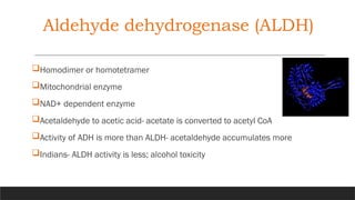 Aldehyde dehydrogenase (ALDH)
Homodimer or homotetramer
Mitochondrial enzyme
NAD+ dependent enzyme
Acetaldehyde to acetic acid- acetate is converted to acetyl CoA
Activity of ADH is more than ALDH- acetaldehyde accumulates more
Indians- ALDH activity is less; alcohol toxicity
 