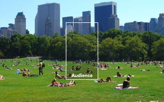 Audience
 