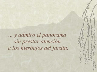 ... y admiro el panorama  sin prestar atención  a los hierbajos del jardín. 