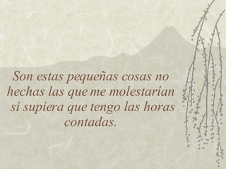 Son estas pequeñas cosas no hechas las que me molestarían  si supiera que tengo las horas contadas. 