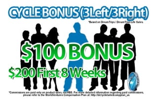 ©2012 WorldVentures Mark
 