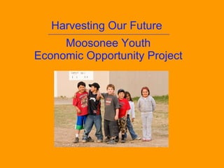 Harvesting Our Future   –––––––––––––––––––––––––––––––––––––––––––––––––– Moosonee Youth Economic Opportunity Project 