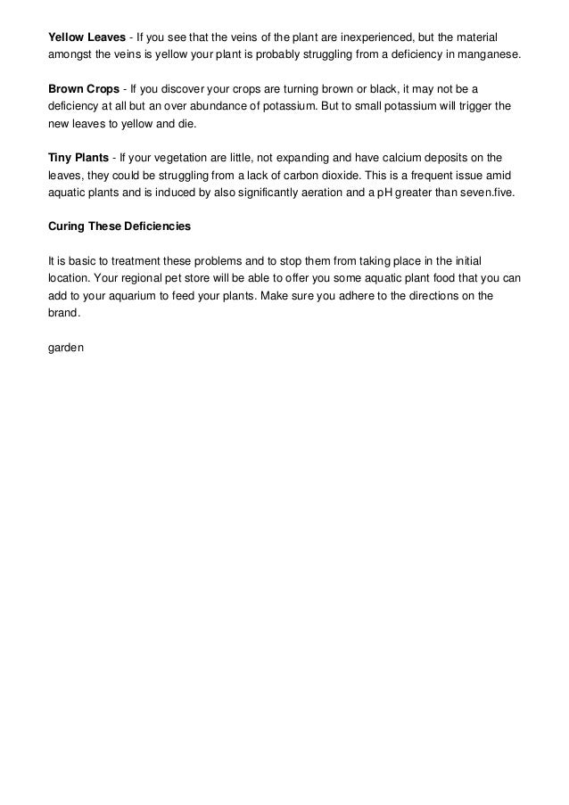 5 Reasons Why Plants Wilt and How to Help Them Recover