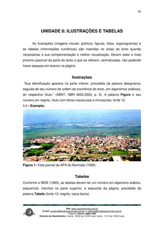 Site: www.ucamprominas.com.br
E-mail: ouvidoria@institutoprominas.com.br ou diretoria@institutoprominas.com.br
Telefone: (0xx31) 3865-1400
Horários de Atendimento: manhã - 08:00 as 12:00 horas / tarde - 13:15 as 18:00 horas
40
UNIDADE 6: ILUSTRAÇÕES E TABELAS
As ilustrações (imagens visuais: gráficos, figuras, fotos, organogramas) e
as tabelas (informações numéricas) são inseridas no corpo do texto quando
necessárias à sua complementação e melhor visualização. Devem estar o mais
próximo possível da parte do texto a que se referem, centralizadas, não podendo
haver espaços em branco na página.
Ilustrações
“Sua identificação aparece na parte inferior, procedida da palavra designativa,
seguida de seu número de ordem de ocorrência do texto, em algarismos arábicos,
do respectivo título.” (ABNT, NBR 6022:2003, p. 5). A palavra Figura e seu
número em negrito, título com letras maiúsculas e minúsculas, fonte 12.
1.1 - Exemplo:
Figura 1- Vista parcial da APA do Banhado (1999).
Tabelas
Conforme o IBGE (1993), as tabelas devem ter um número em algarismo arábico,
sequencial, inscritos na parte superior, a esquerda da página, precedida da
palavra Tabela (fonte 12, negrito, caixa baixa).
 