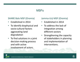 Multi-stakeholder forums as innovation for natural resource management?