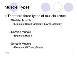 Type 1 Muscles Examples 8_MUSCLE TISSUE.pptx