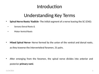 8_Neuroanatomy_and_Neurolocalization_of_Roots_and_Plexuses_Final.pptx