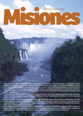 61News
Misiones
Informe Especial
Posee un paisaje realmente fascinante para la vista ya que a las majestuosas Cataratas del Iguazú –recientemente votadas
como una de las Maravillas del Mundo– se suman la Selva Misionera y los suelos rojizos. Pero la provincia de Misiones, al norte
de nuestro país, no resulta meramente un atractivo turístico ya que el nivel de su actividad económica ha evolucionado de
manera importante durante los últimos años gracias al crecimiento de su estructura productiva, centrada fundamentalmente
en la industrialización de productos primarios, tales como los aserraderos, la industria celulósica-papelera, la preparación de
tabaco, yerba mate y té.
En esta edición del News, presentamos un informe provincial completo -principales cadenas productivas, oferta exportable,
evolución del PBG- y realizamos una entrevista al coordinador del “Grupo Exportador de Yerba Mate y Té”, conformado por 6
empresas locales.
Además, dialogamos con Patricio Mac Donagh, Director Ejecutivo de APF (Aglomerado Productivo Forestal) sobre su trabajo
a favor del incremento de la competitividad de las PyMEs foresto industriales. Desde la Dirección General de Comercio,
Integración y Relaciones Internacionales de la provincia de Misiones María Martha Oria destaca la asistencia a las empresas
misioneras en su proceso de internacionalización.
Finalmente, cabe destacar la entrevista a la Dra. Lía Fabiola Bianco, Ministra de la Secretaría de Estado de Acción Cooperativa,
Mutual, Comercio e Integración de Misiones, quien expone los beneficios de las nuevas obras portuarias que se realizarán con
el fin de consolidar a Misiones como plataforma de vinculación logística para todo el Bloque del Mercosur.
 