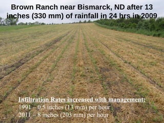 ©2010 Rodale Institute
Brown Ranch near Bismarck, ND after 13
inches (330 mm) of rainfall in 24 hrs in 2009
Infiltration Rates increased with management:
1991 – 0.5 inches (13 mm) per hour
2011 – 8 inches (203 mm) per hour
 