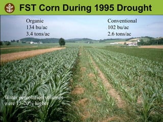 ©2010 Rodale Institute
FST Corn During 1995 Drought
Organic
134 bu/ac
3.4 tons/ac
Conventional
102 bu/ac
2.6 tons/ac
Water percolation volumes
were 15-20% higher
 