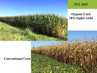 ©2010 Rodale Institute
Organic Corn
18% higher yield
Conventional Corn
FST 2015
 