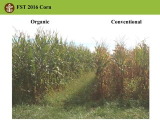 ©2010 Rodale Institute
FST 2016 Corn
ConventionalOrganic
 