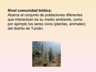 Nivel comunidad biótica: Abarca al conjunto de poblaciones diferentes que interactúan es su medio ambiente, como por ejemplo los seres vivos (plantas, animales) del distrito de Tumán. 